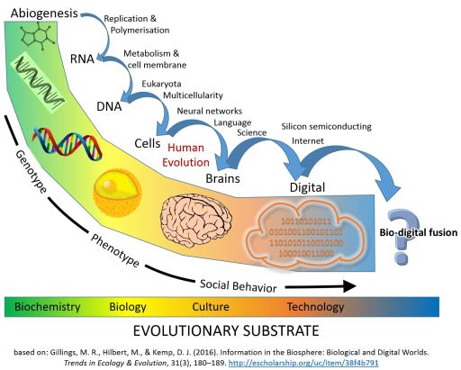 Schematic Timeline of Information and Replicators in the Biosphere: major evolutionary transitions in information processing.